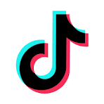 No ha cargado la imagen de tiktok